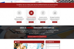 Web Design for Financial Management Consultants
